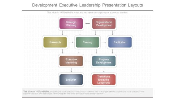 Development Executive Leadership Presentation Layouts