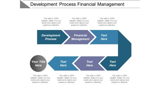 Development Process Financial Management Ppt PowerPoint Presentation Show Background Images