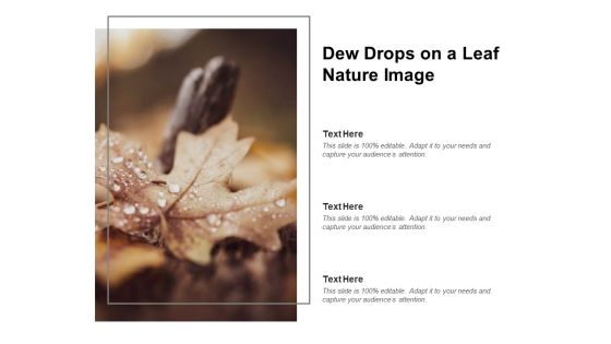 Dew Drops On A Leaf Nature Image Ppt PowerPoint Presentation Professional Layouts Dew Drops On A Leaf Nature Image Ppt PowerPoint Presentation Professional Layouts