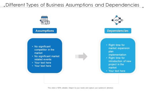 Different Types Of Business Assumptions And Dependencies Ppt File Infographics PDF