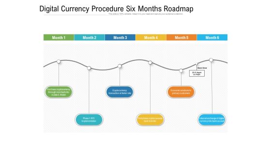 Digital Currency Procedure Six Months Roadmap Graphics