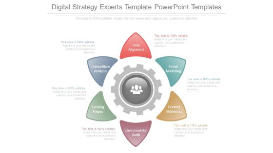 Digital Strategy Experts Template Powerpoint Templates