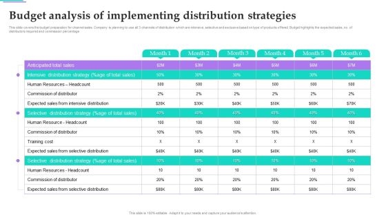 Distribution Strategies For Increasing Budget Analysis Of Implementing Distribution Strategies Microsoft PDF Distribution Strategies For Increasing Budget Analysis Of Implementing Distribution Strategies Microsoft PDF
