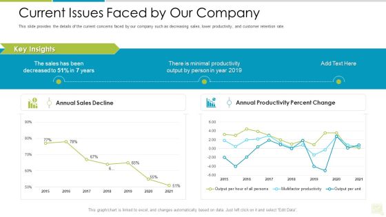 Distributor Entitlement Initiatives Current Issues Faced By Our Company Infographics PDF