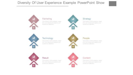 Diversity Of User Experience Example Powerpoint Show Diversity Of User Experience Example Powerpoint Show