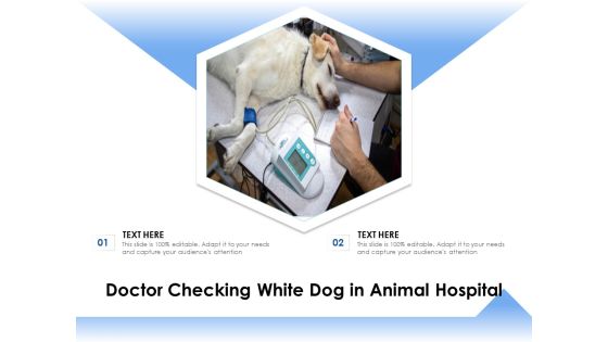 Doctor Checking White Dog In Animal Hospital Ppt PowerPoint Presentation Model Templates PDF