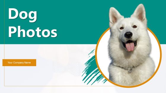 Dog Photos Ppt PowerPoint Presentation Complete Deck With Slides Dog Photos Ppt PowerPoint Presentation Complete Deck With Slides