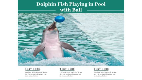 Dolphin Fish Playing In Pool With Ball Ppt PowerPoint Presentation File Show PDF