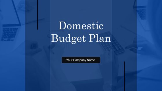 Domestic Budget Plan Ppt PowerPoint Presentation Complete Deck With Slides