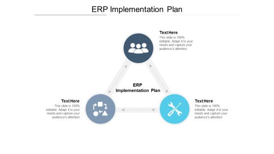 ERP Implementation Plan Ppt PowerPoint Presentation Infographic Template Examples Cpb