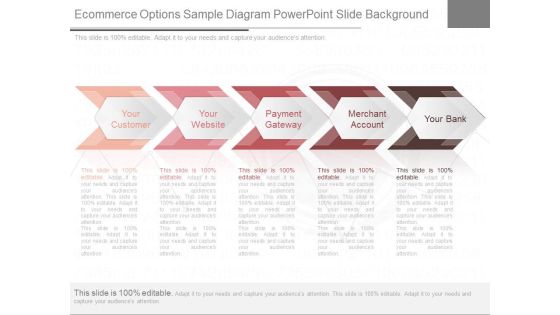 Ecommerce Options Sample Diagram Powerpoint Slide Background Ecommerce Options Sample Diagram Powerpoint Slide Background