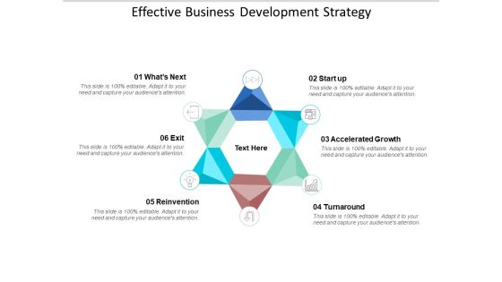 Effective Business Development Strategy Ppt PowerPoint Presentation Professional Example