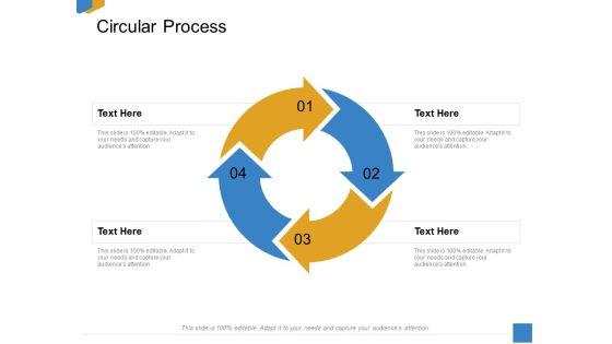 Effective Outcome Launch Roadmap Circular Process Ppt Gallery Format PDF Effective Outcome Launch Roadmap Circular Process Ppt Gallery Format PDF