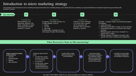 Effective Target Marketing Strategies To Acquire Customers Introduction To Micro Marketing Strategy Graphics PDF Effective Target Marketing Strategies To Acquire Customers Introduction To Micro Marketing Strategy Graphics PDF