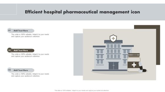 Efficient Hospital Pharmaceutical Management Icon Summary PDF Efficient Hospital Pharmaceutical Management Icon Summary PDF