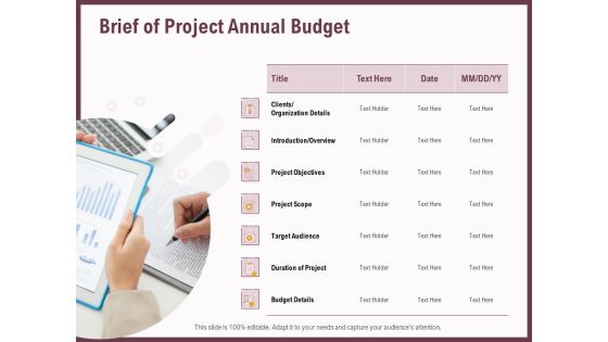Elements Brief Of Project Annual Budget Ppt Pictures Graphic Images PDF