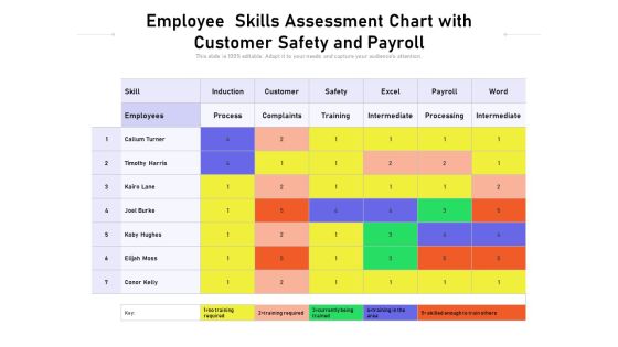 Employee Skills Assessment Chart With Customer Safety And Payroll Ppt PowerPoint Presentation Show Example File PDF