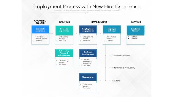 Employment Process With New Hire Experience Ppt PowerPoint Presentation Gallery File Formats PDF
