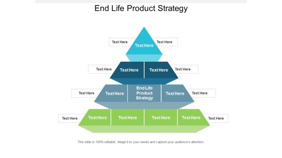 End Life Product Strategy Ppt PowerPoint Presentation Layouts Graphics Design Cpb