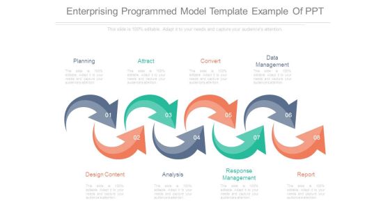 Enterprising Programmed Model Template Example Of Ppt Enterprising Programmed Model Template Example Of Ppt