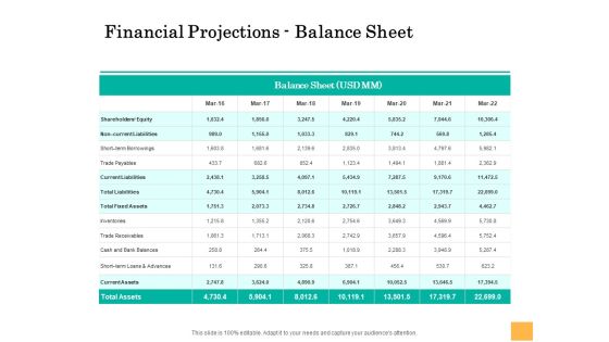 Equity Capital Funding Financial Projections Balance Sheet Ppt Show Graphics Design PDF Equity Capital Funding Financial Projections Balance Sheet Ppt Show Graphics Design PDF
