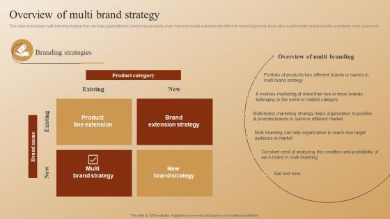 Establishing A Brand Identity For Organizations With Several Brands Overview Of Multi Brand Strategy Elements PDF Establishing A Brand Identity For Organizations With Several Brands Overview Of Multi Brand Strategy Elements PDF