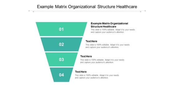 Example Matrix Organizational Structure Healthcare Ppt PowerPoint Presentation Pictures Designs Download Cpb Pdf