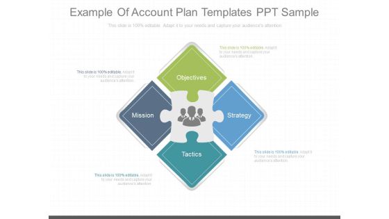 Example Of Account Plan Templates Ppt Sample Example Of Account Plan Templates Ppt Sample