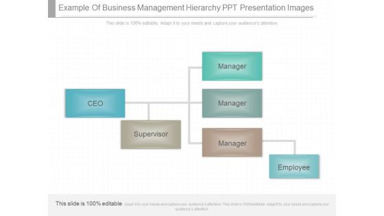 Example Of Business Management Hierarchy Ppt Presentation Images Example Of Business Management Hierarchy Ppt Presentation Images