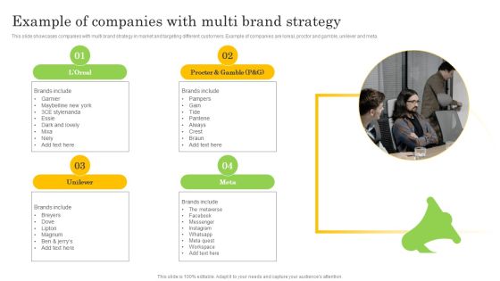 Example Of Companies With Multi Brand Strategy Mockup PDF Example Of Companies With Multi Brand Strategy Mockup PDF