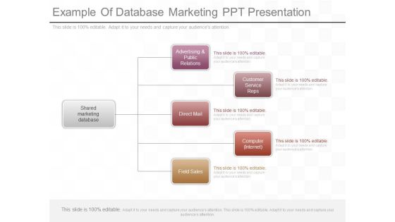 Example Of Database Marketing Ppt Presentation Example Of Database Marketing Ppt Presentation