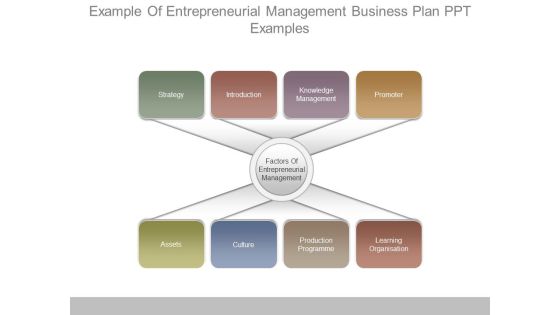 Example Of Entrepreneurial Management Business Plan Ppt Examples