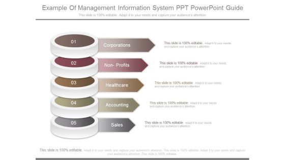 Example Of Management Information System Ppt Powerpoint Guide Example Of Management Information System Ppt Powerpoint Guide