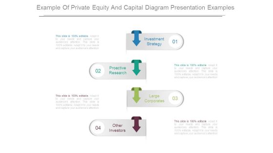 Example Of Private Equity And Capital Diagram Presentation Examples Example Of Private Equity And Capital Diagram Presentation Examples