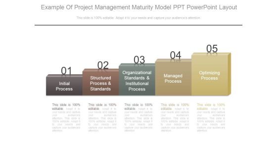 Example Of Project Management Maturity Model Ppt Powerpoint Layout Example Of Project Management Maturity Model Ppt Powerpoint Layout