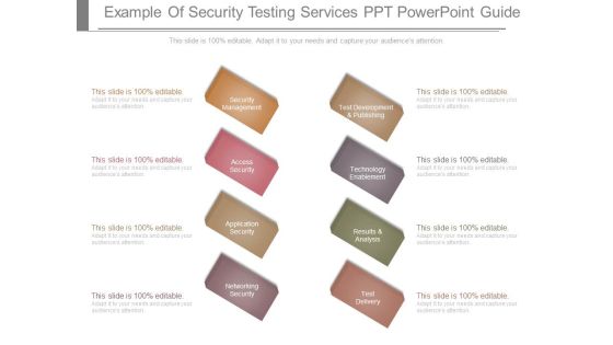 Example Of Security Testing Services Ppt Powerpoint Guide