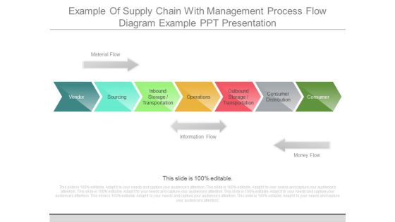 Example Of Supply Chain With Management Process Flow Diagram Example Ppt Presentation