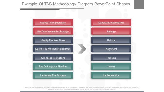 Example Of Tas Methodology Diagram Powerpoint Shapes
