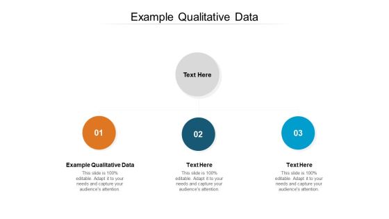 Example Qualitative Data Ppt PowerPoint Presentation Infographic Template Tips Cpb