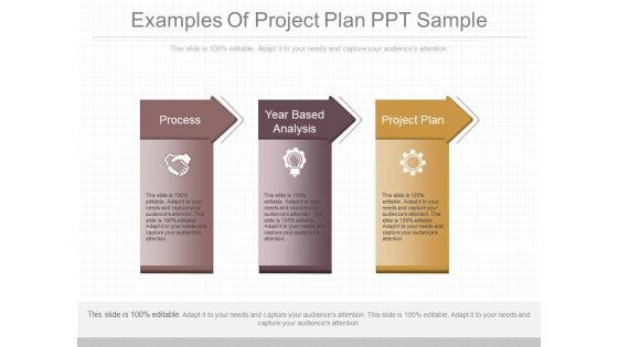 Examples Of Project Plan Ppt Sample Examples Of Project Plan Ppt Sample