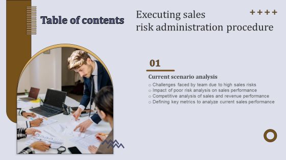 Executing Sales Risk Administration Procedure Table Of Contents Microsoft PDF