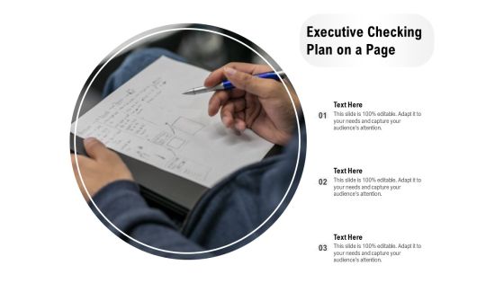 Executive Checking Plan On A Page Ppt PowerPoint Presentation Gallery Guide PDF