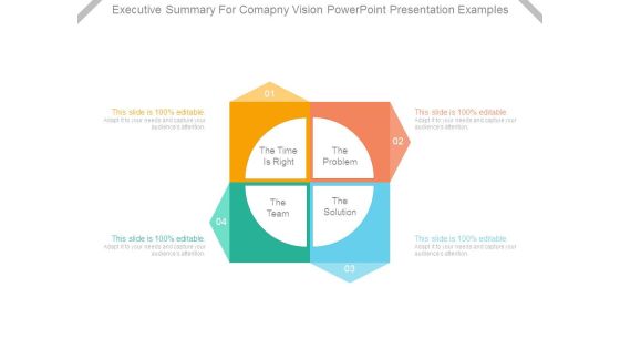Executive Summary For Company Vision Powerpoint Presentation Examples