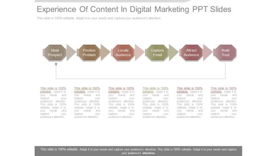 Experience Of Content In Digital Marketing Ppt Slides Experience Of Content In Digital Marketing Ppt Slides