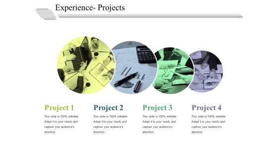 Experience Projects Ppt PowerPoint Presentation Pictures Show