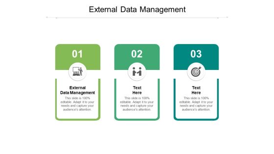 External Data Management Ppt PowerPoint Presentation Model Information Cpb Pdf External Data Management Ppt PowerPoint Presentation Model Information Cpb Pdf