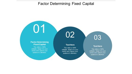 Factor Determining Fixed Capital Ppt PowerPoint Presentation Gallery Graphics Download Cpb