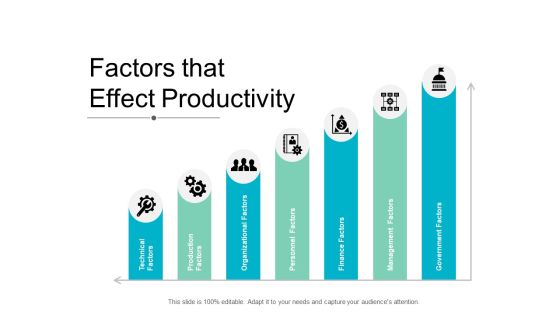 Factors That Effect Productivity Ppt PowerPoint Presentation Layouts Graphics