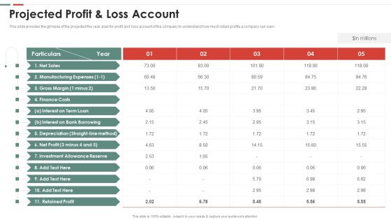 Feasibility Analysis Template Different Projects Projected Profit And Loss Account Designs PDF
