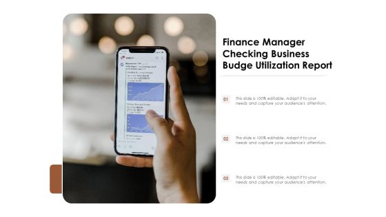 Finance Manager Checking Business Budge Utilization Report Ppt PowerPoint Presentation Show Master Slide PDF